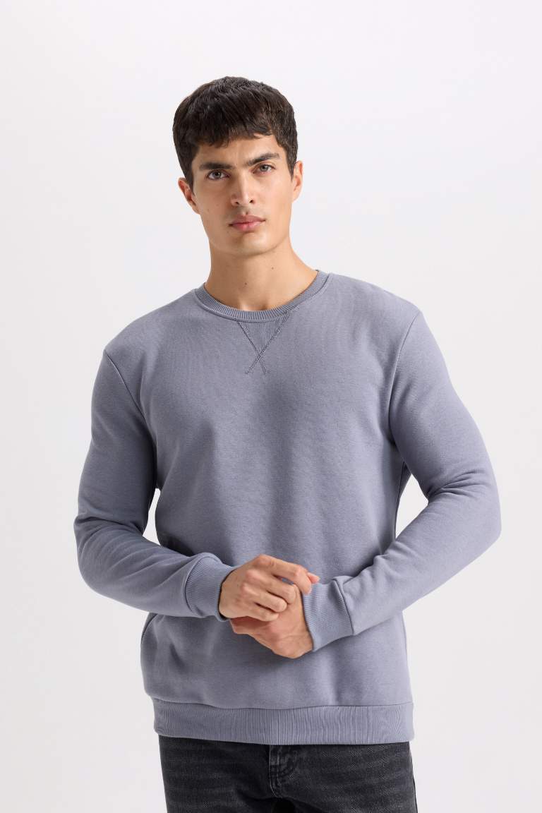 Regular Fit Crew Neck Thick Basic Sweatshirt