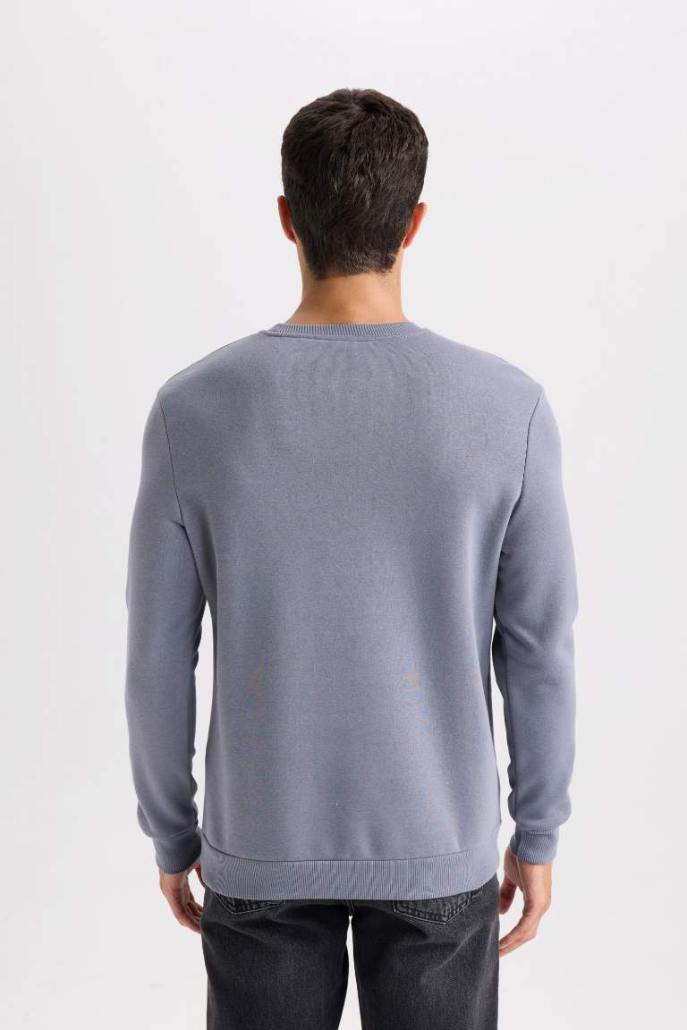 Regular Fit Crew Neck Thick Basic Sweatshirt