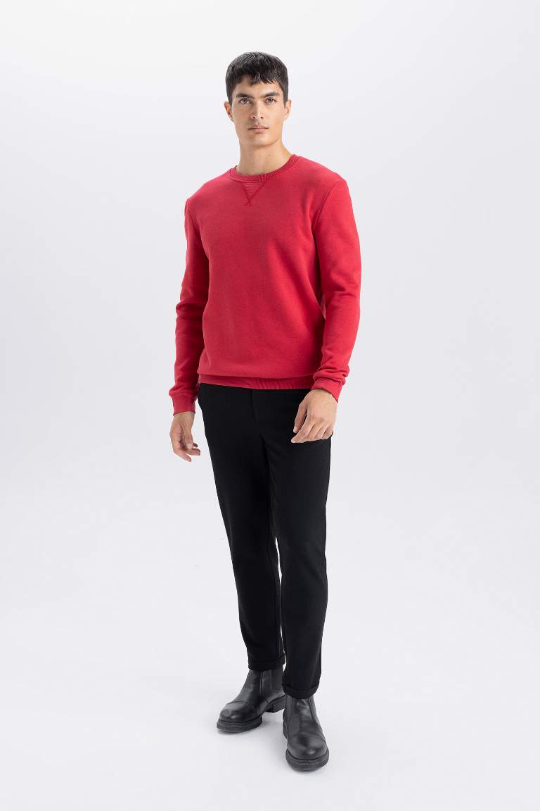 Regular Fit Crew Neck Thick Basic Sweatshirt