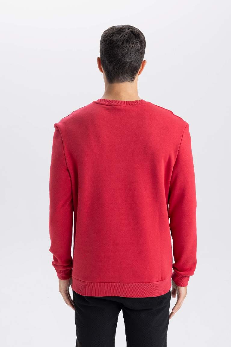 Regular Fit Crew Neck Thick Basic Sweatshirt