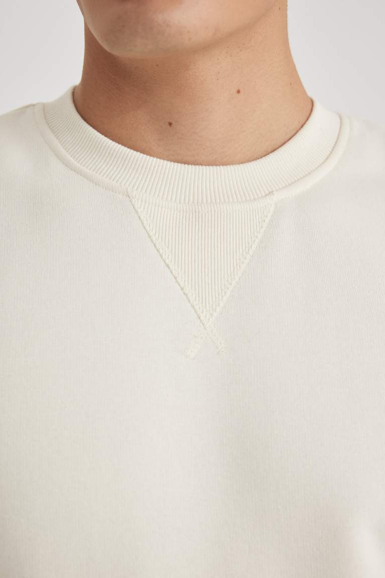 Regular Fit Crew Neck Basic Cotton Sweatshirt