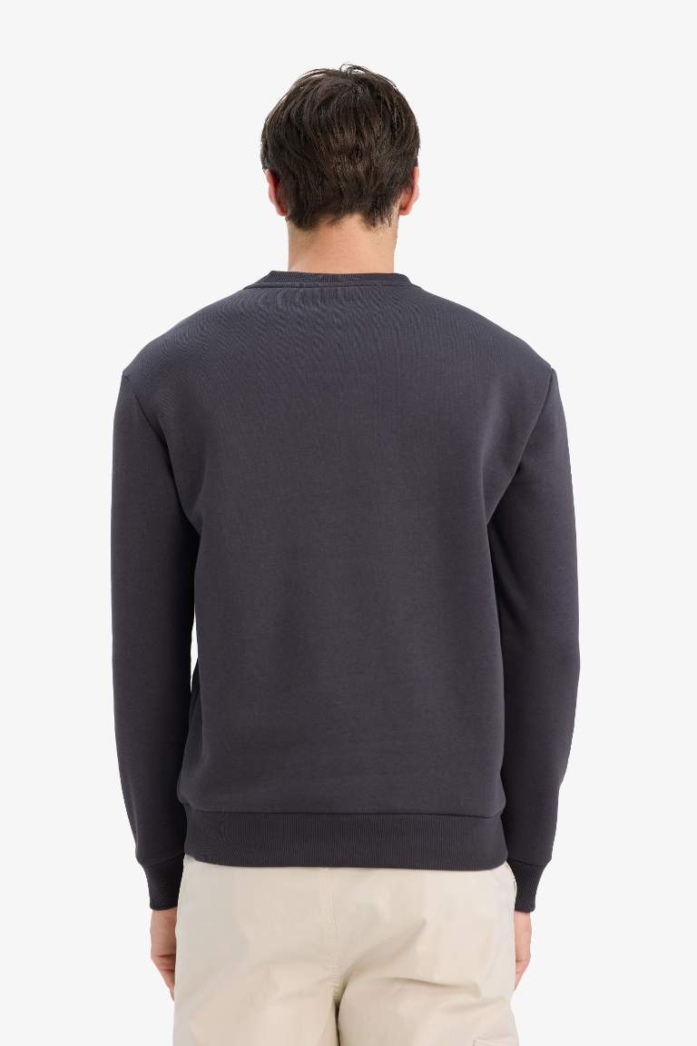 Regular Fit Bisiklet Yaka Basic Düz Kalın Sweatshirt