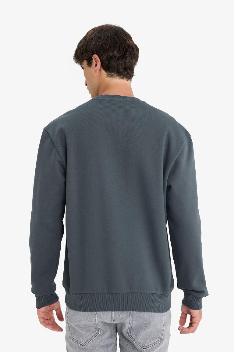 Regular Fit Bisiklet Yaka Basic Düz Kalın Sweatshirt