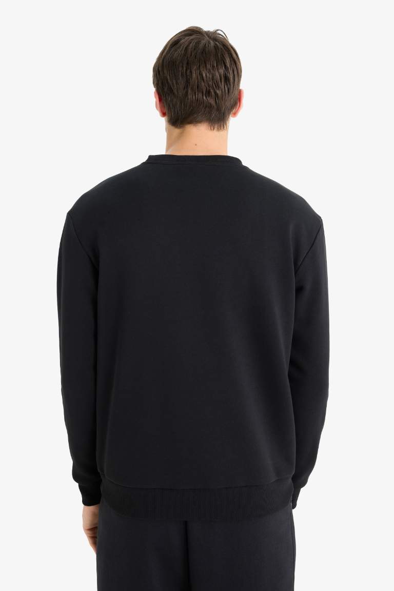 Regular Fit Bisiklet Yaka Basic Düz Kalın Sweatshirt