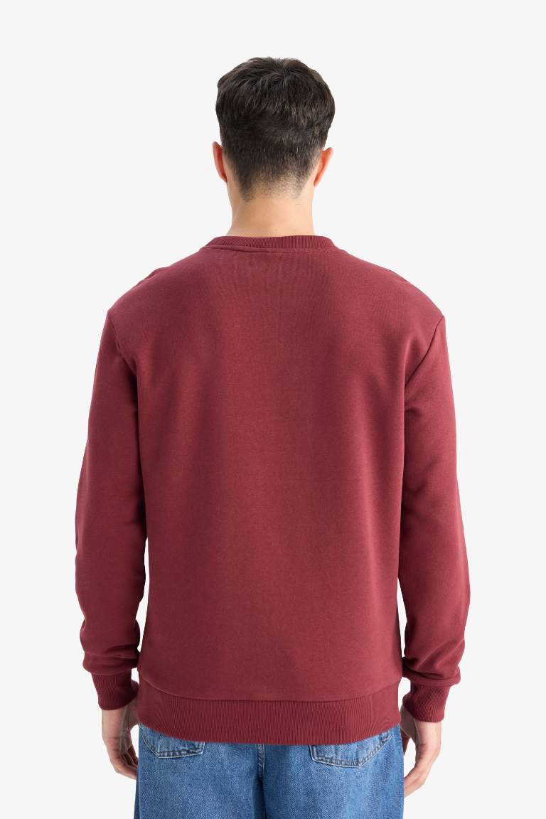 Regular Fit Bisiklet Yaka Basic Düz Kalın Sweatshirt