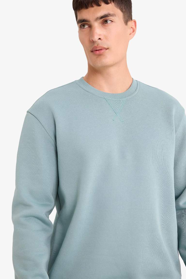 Regular Fit Crew Neck Basic Thick Sweatshirt