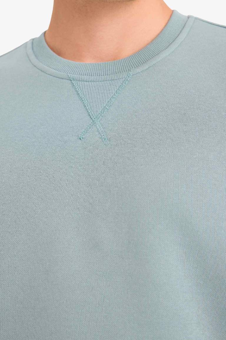 Regular Fit Crew Neck Basic Thick Sweatshirt