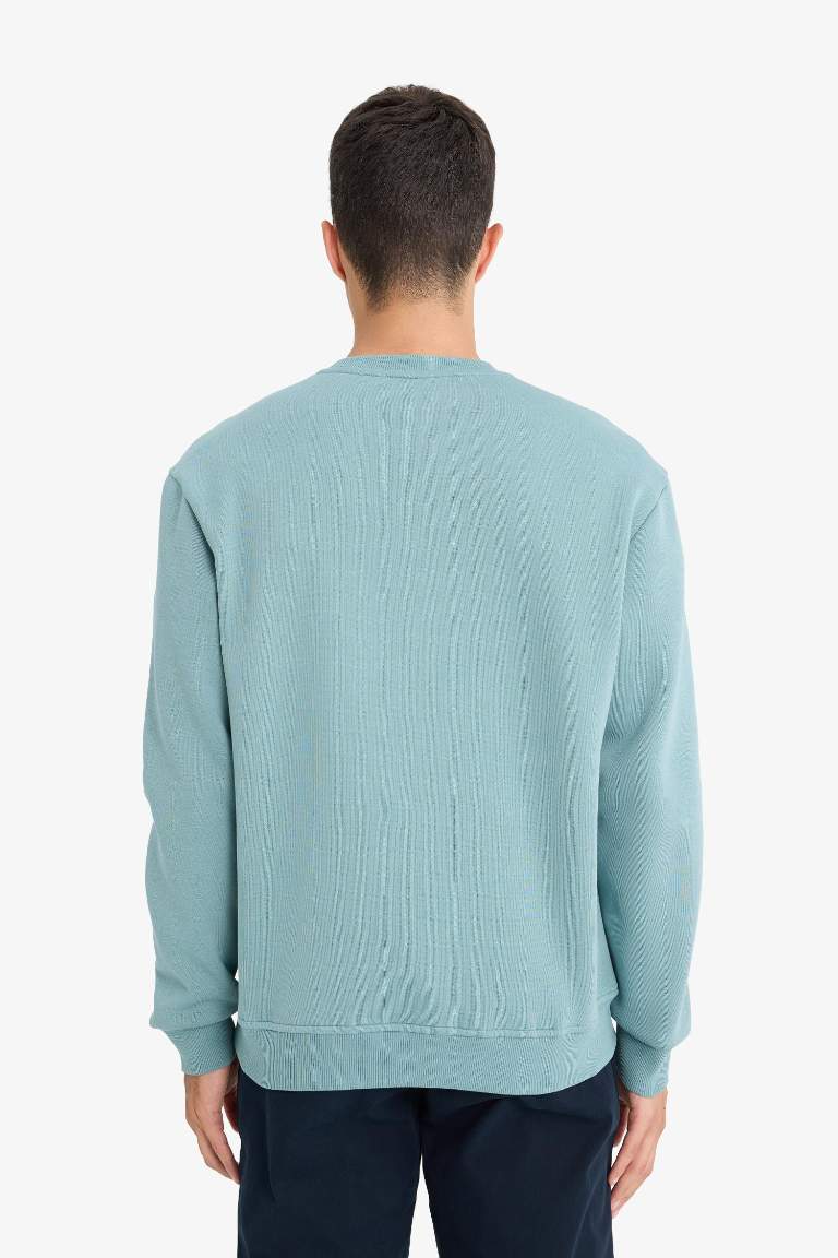 Regular Fit Crew Neck Basic Thick Sweatshirt