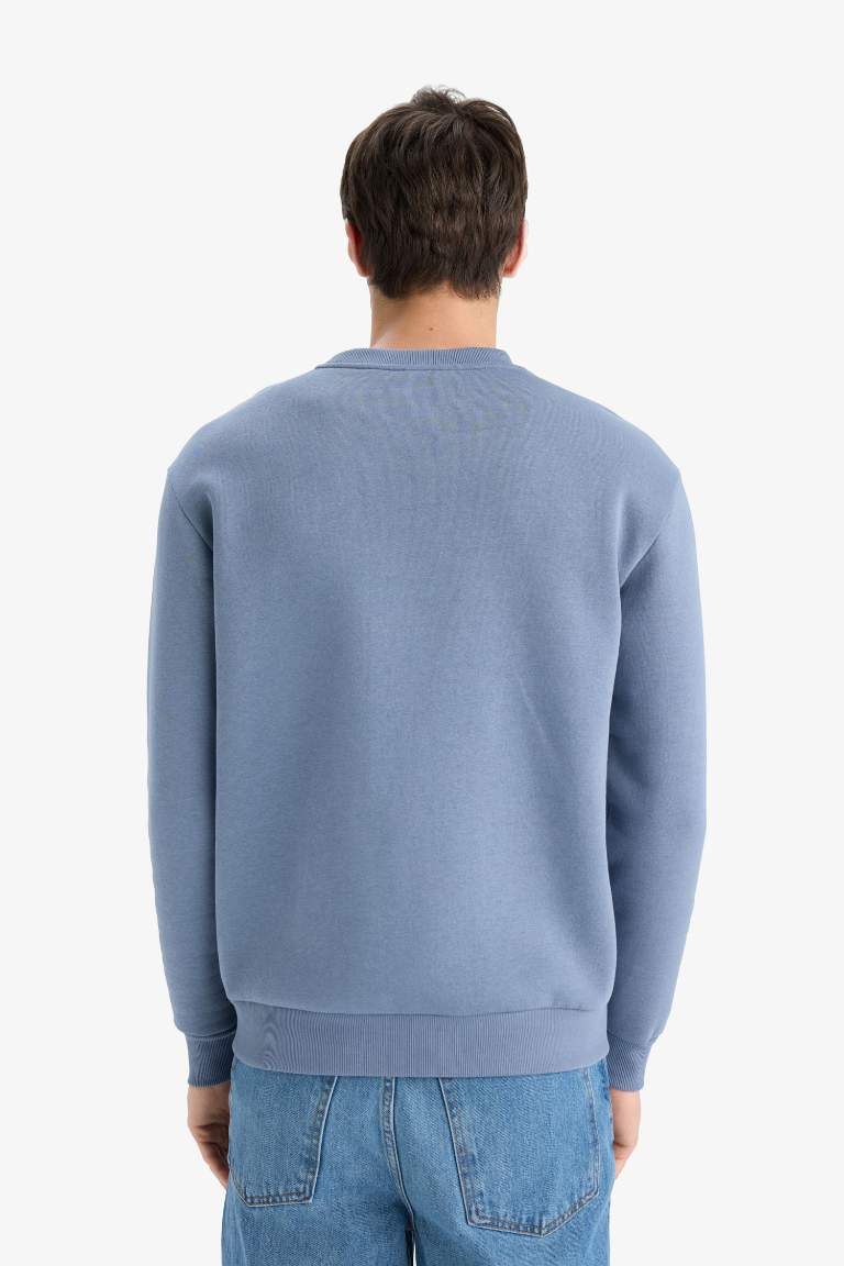 Regular Fit Bisiklet Yaka Basic Düz Kalın Sweatshirt