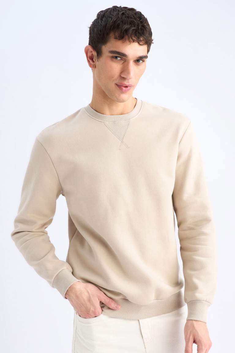 Regular Fit Crew Neck Basic Thick Sweatshirt