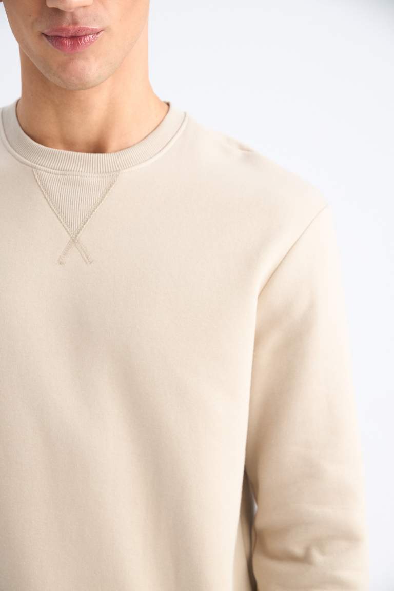 Regular Fit Crew Neck Basic Thick Sweatshirt