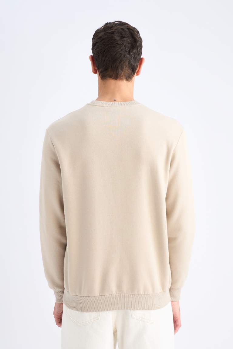 Regular Fit Crew Neck Basic Thick Sweatshirt