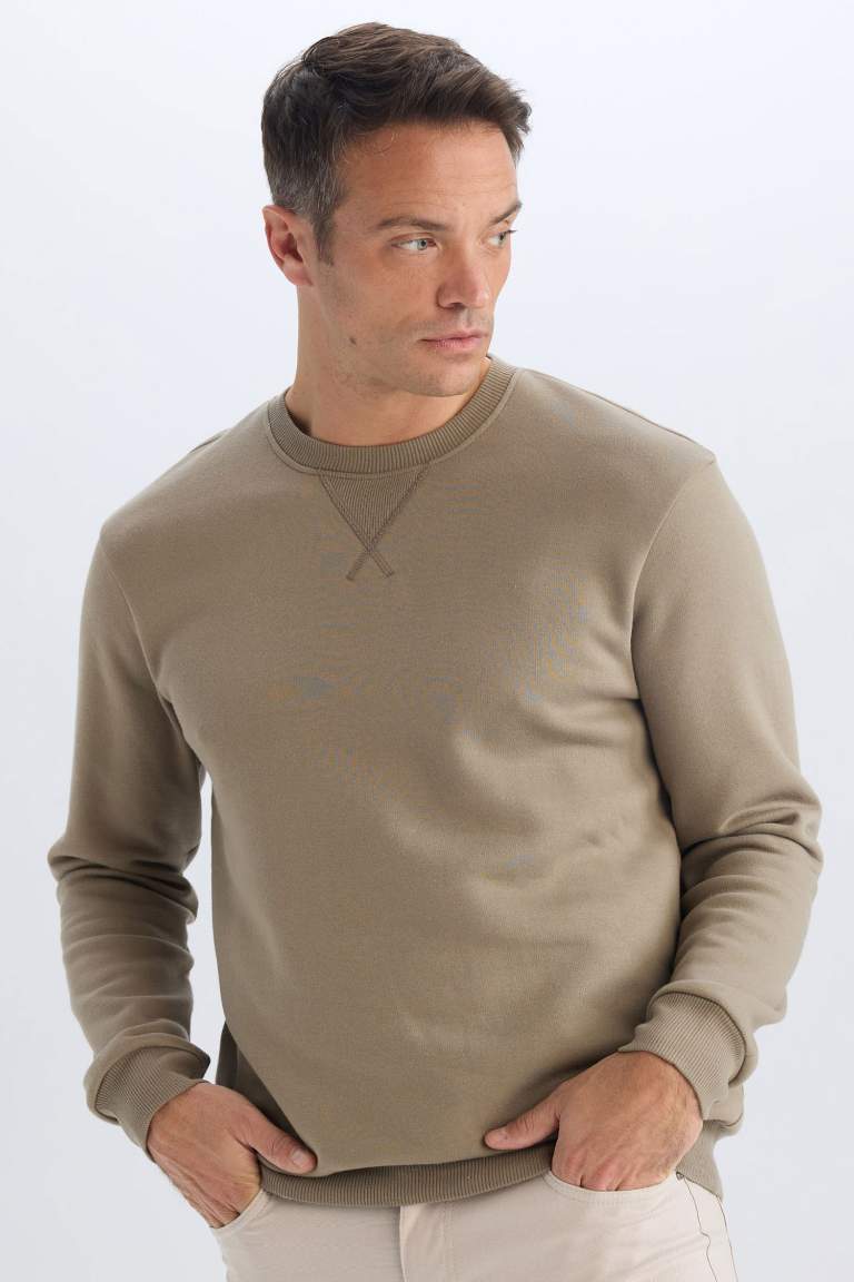 Regular Fit Crew Neck Basic Thick Sweatshirt