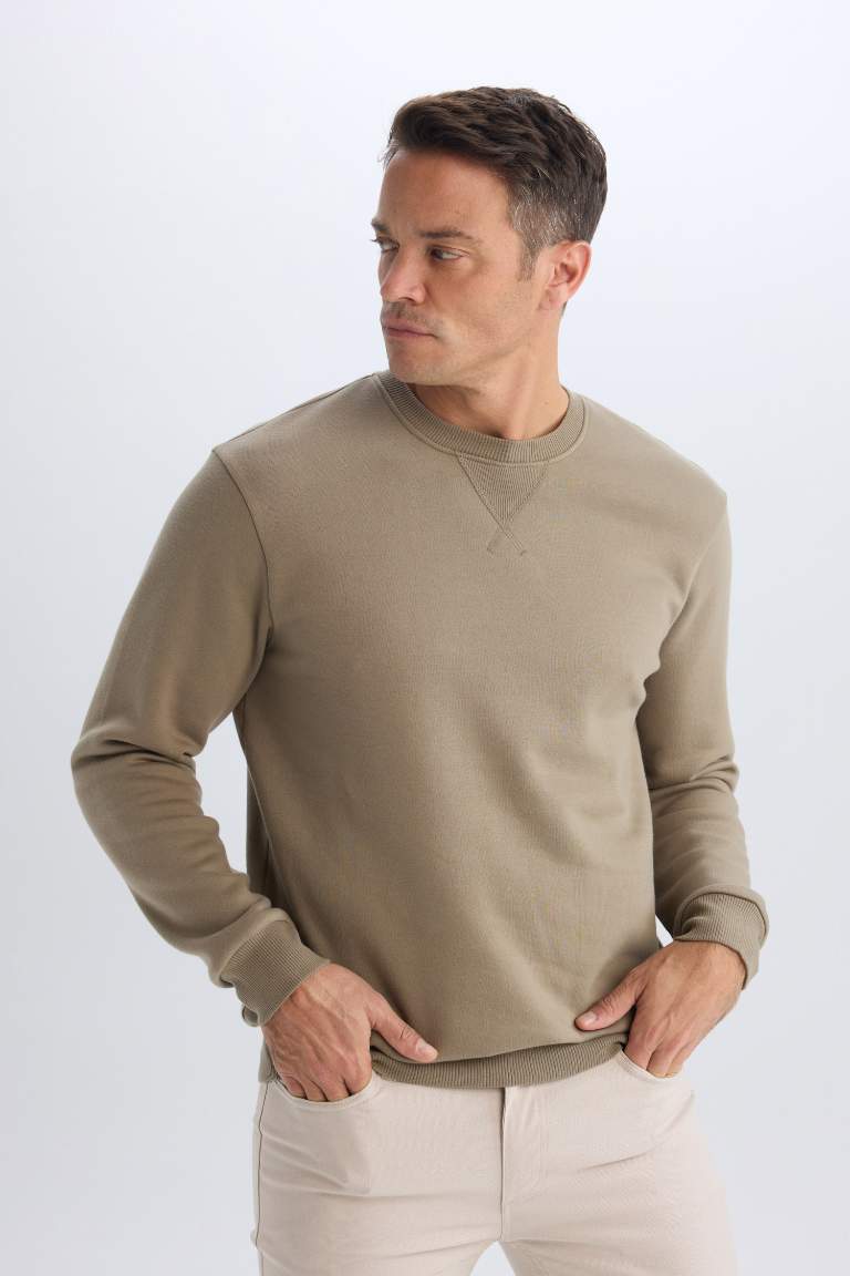 Regular Fit Crew Neck Basic Thick Sweatshirt