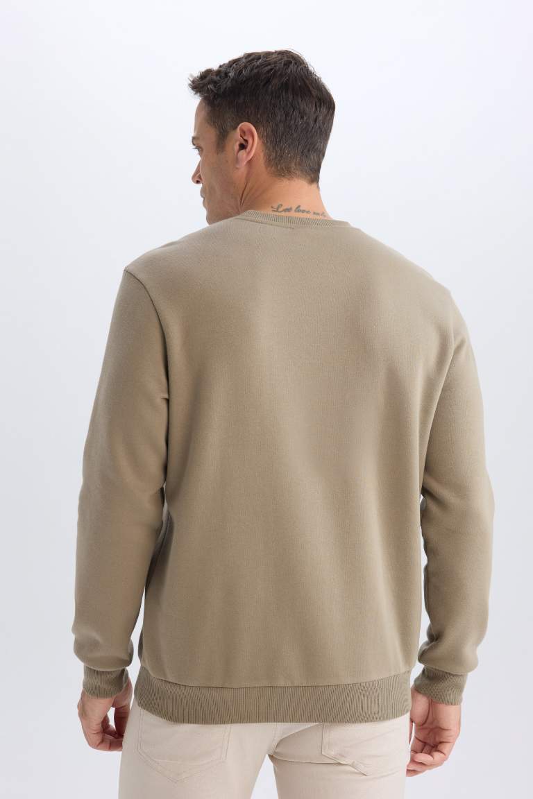 Regular Fit Crew Neck Basic Thick Sweatshirt