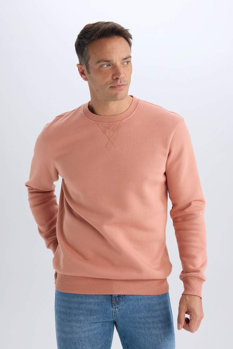 Regular Fit Crew Neck Basic Thick Sweatshirt