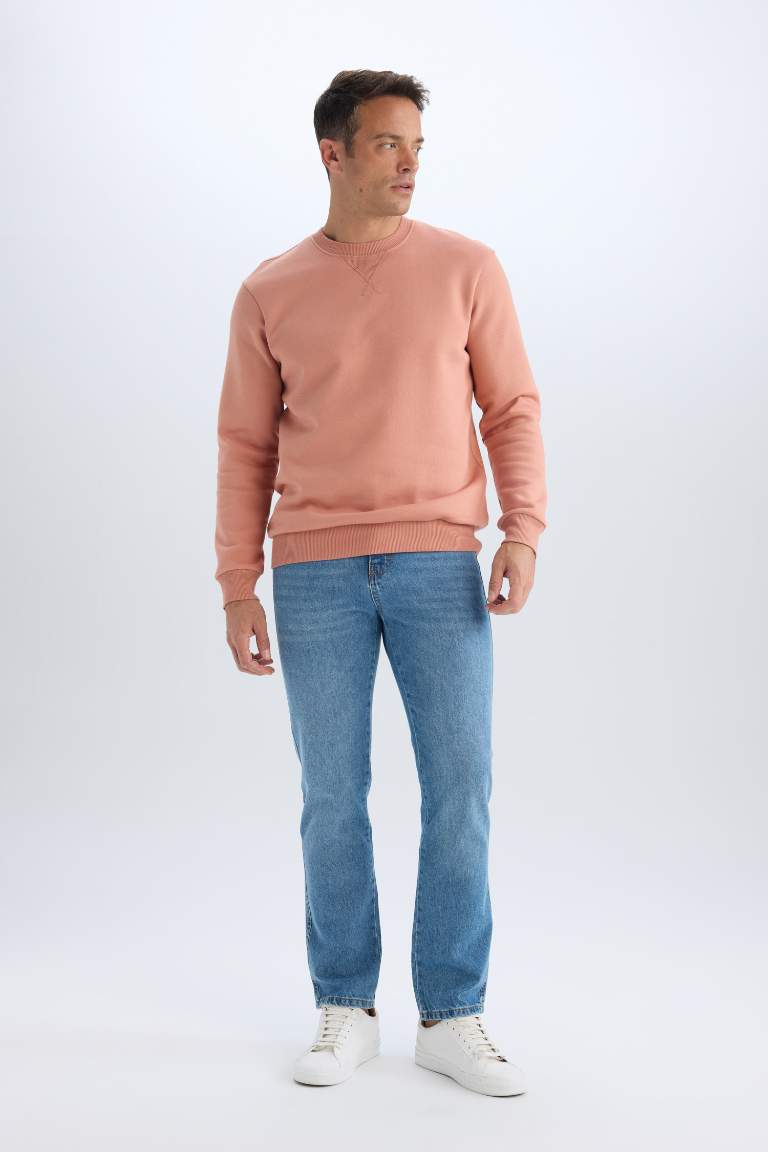 Regular Fit Crew Neck Basic Thick Sweatshirt