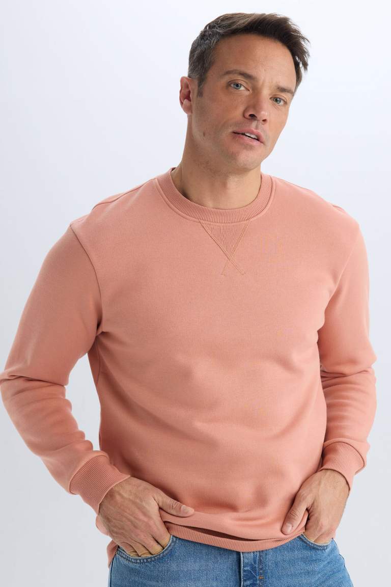 Regular Fit Crew Neck Basic Thick Sweatshirt