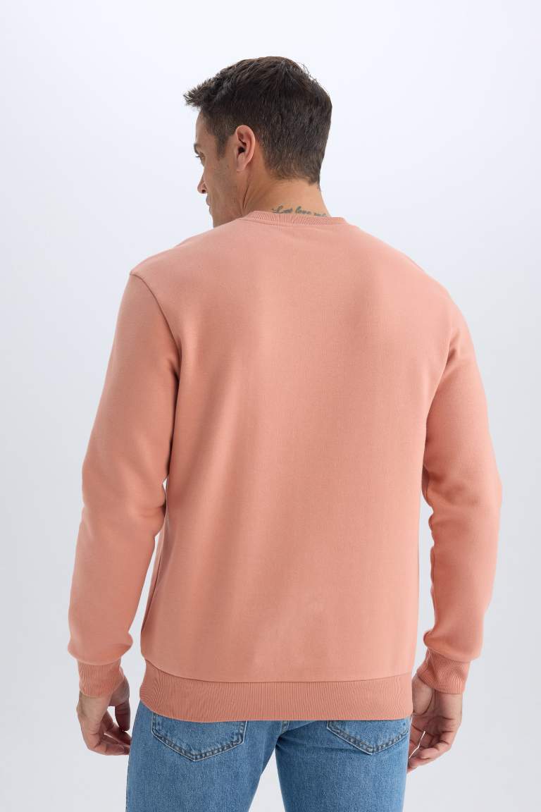 Regular Fit Crew Neck Basic Thick Sweatshirt