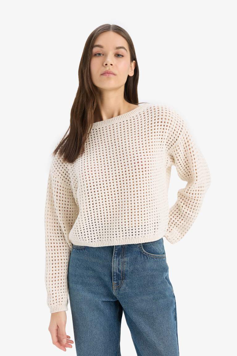 Regular Fit Crew Neck Crochet Knitwear Pullover