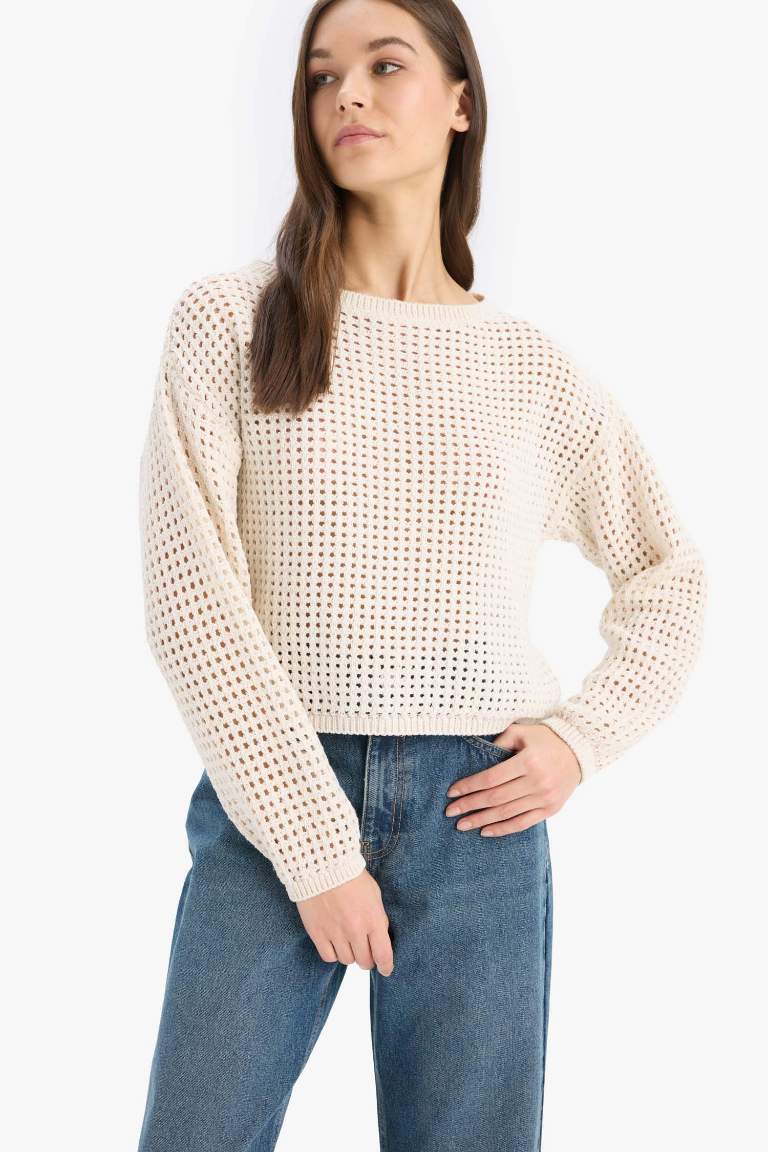 Regular Fit Crew Neck Crochet Knitwear Pullover