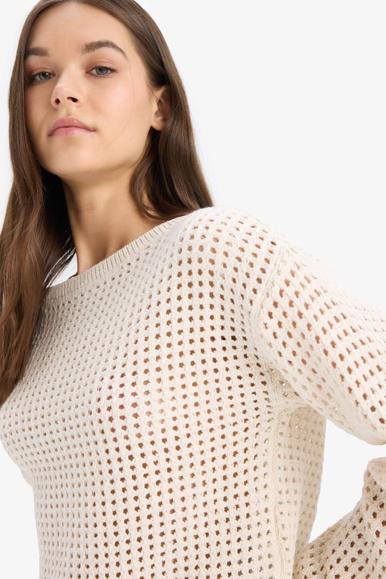 Regular Fit Crew Neck Crochet Knitwear Pullover