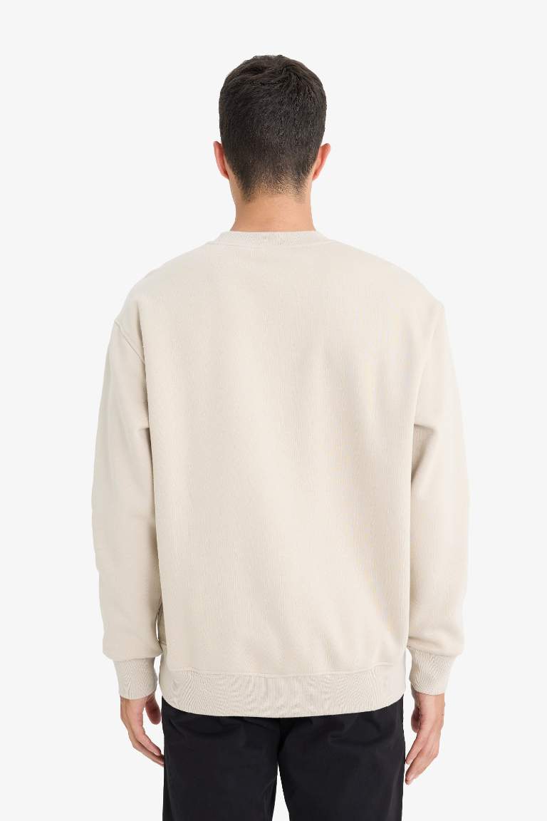Relax Fit Bisiklet Yaka Kalın İçi Yumuşak Tüylü Basic Düz Sweatshirt