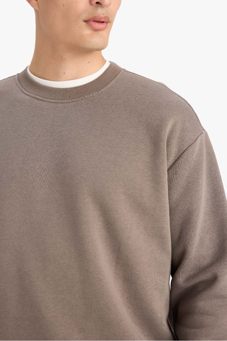 Relax Fit Bisiklet Yaka Kalın İçi Yumuşak Tüylü Basic Düz Sweatshirt