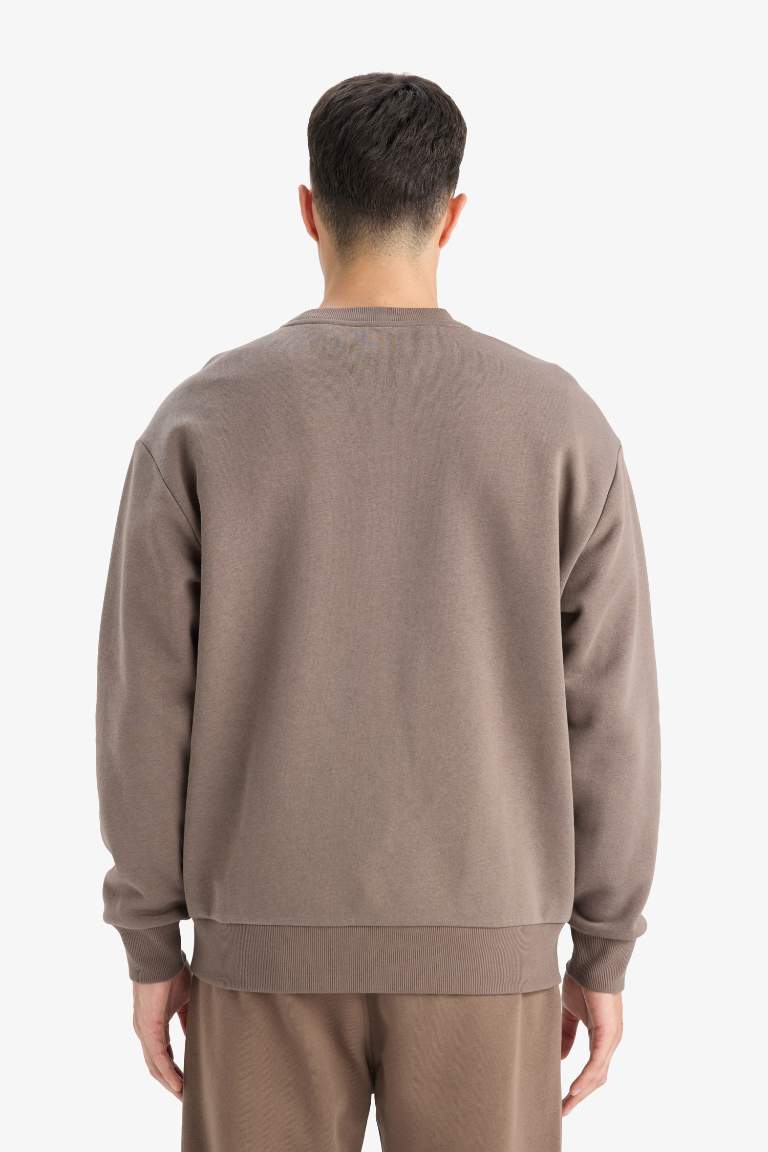 Relax Fit Bisiklet Yaka Kalın İçi Yumuşak Tüylü Basic Düz Sweatshirt