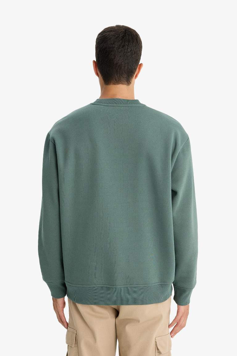Relax Fit Bisiklet Yaka Kalın İçi Yumuşak Tüylü Basic Düz Sweatshirt