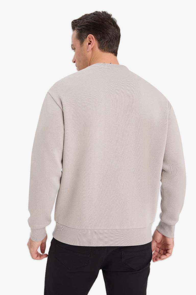 Relax Fit Bisiklet Yaka Kalın İçi Yumuşak Tüylü Basic Düz Sweatshirt