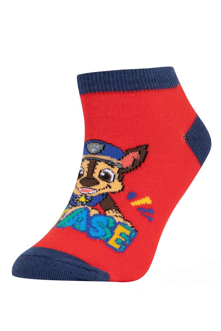 Chaussettes Courtes Coton Animal 3 Paw Patrol Series Garçon