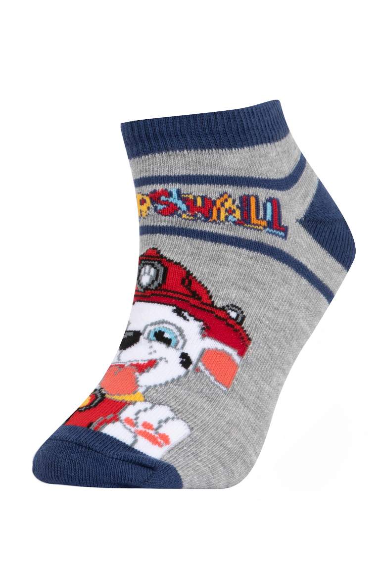 Boy Animal PAW Patrol Licensed 3 piece Short Socks