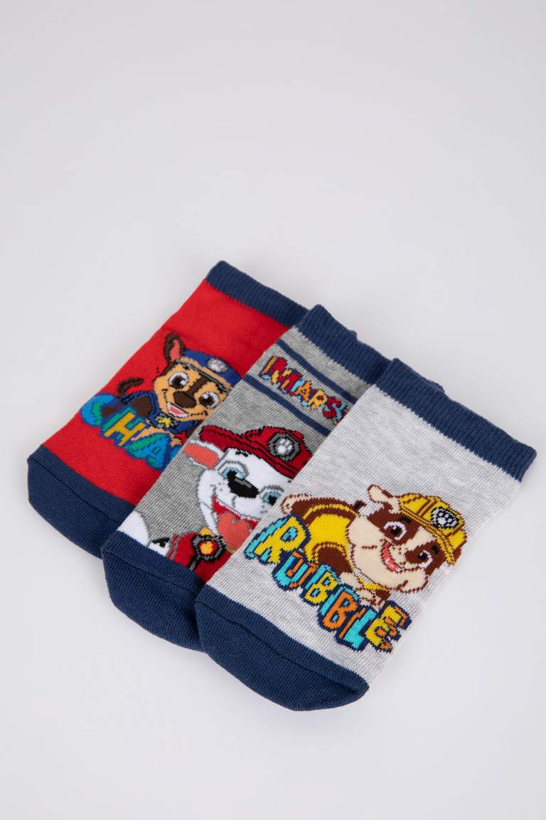 Boy Animal PAW Patrol Licensed 3 piece Short Socks