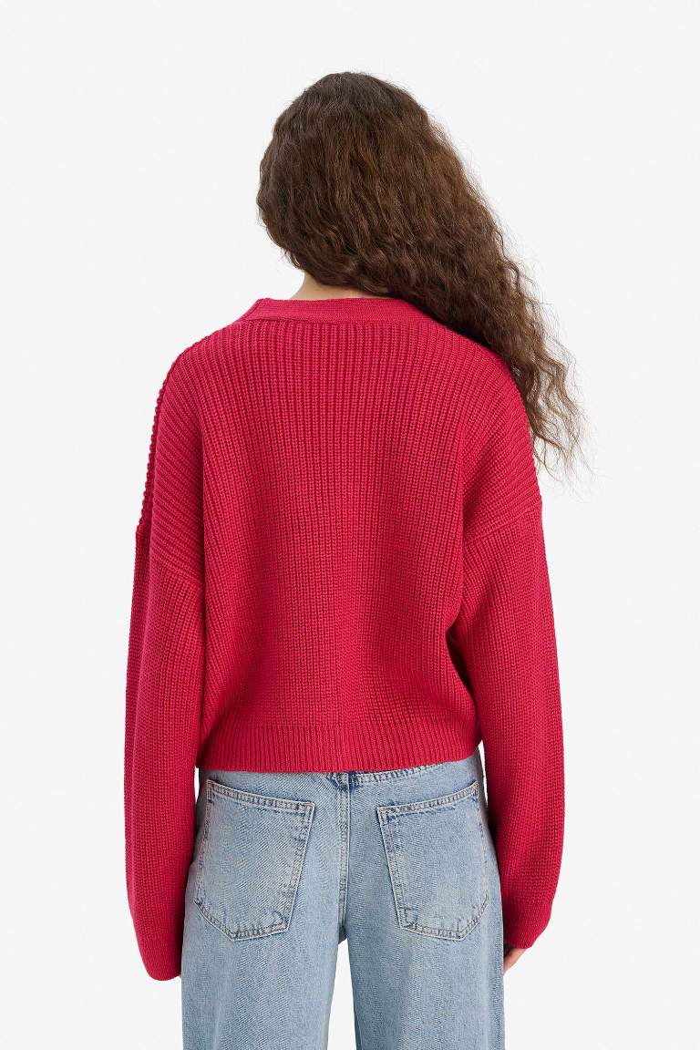 Regular Fit V-Neck Cardigan