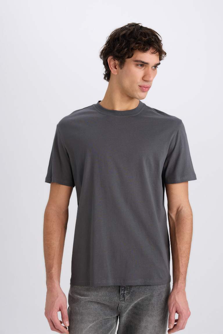 New Regular Fit Crew Neck Basic T-Shirt