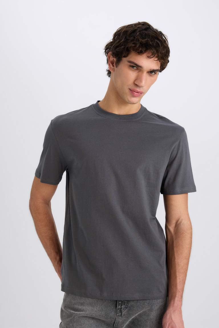 New Regular Fit Crew Neck Basic T-Shirt