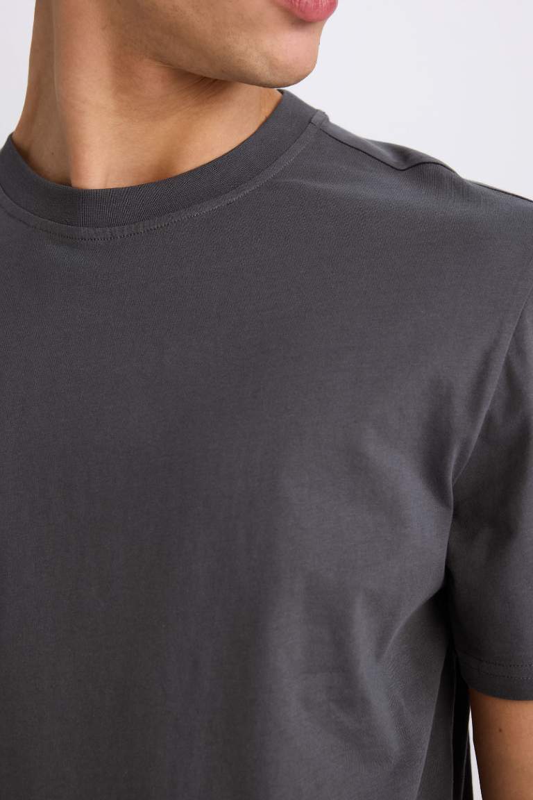 New Regular Fit Crew Neck Basic T-Shirt