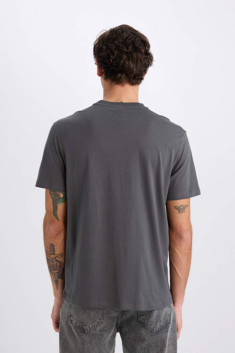 New Regular Fit Crew Neck Basic T-Shirt