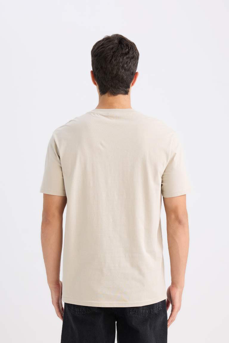 New Regular Fit Crew Neck T-Shirt