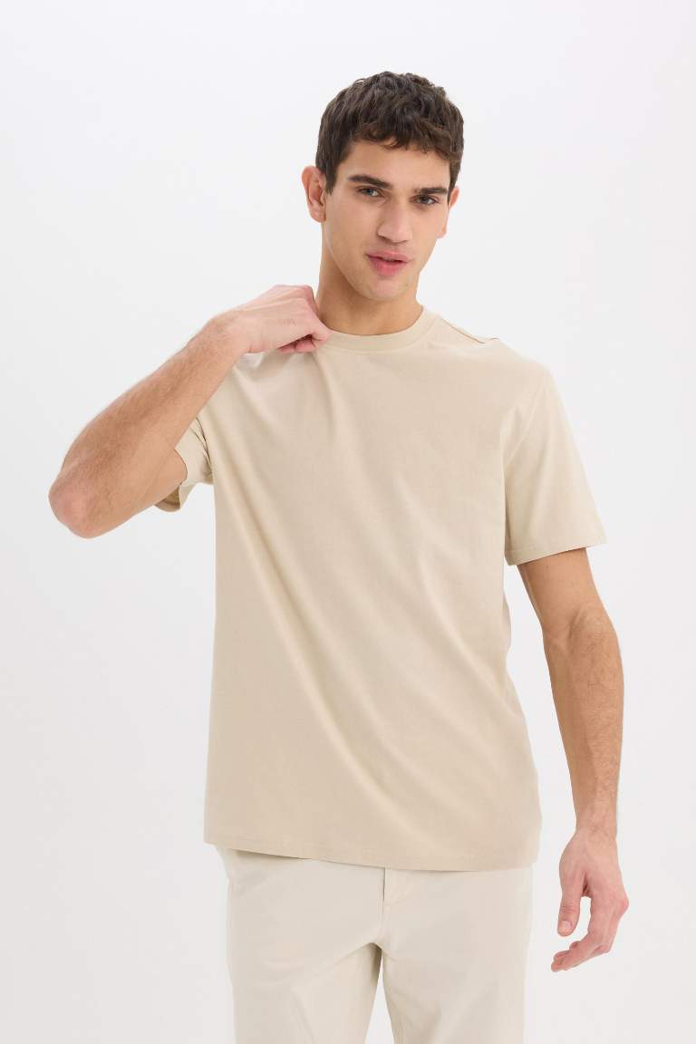 New Regular Fit Crew Neck Basic T-Shirt