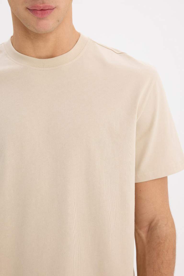 New Regular Fit Crew Neck Basic T-Shirt