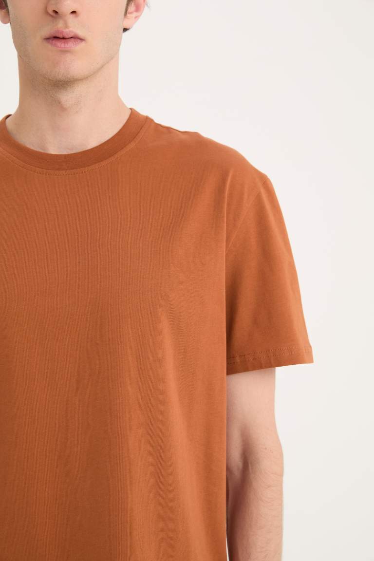 New Regular Fit Crew Neck Basic T-Shirt