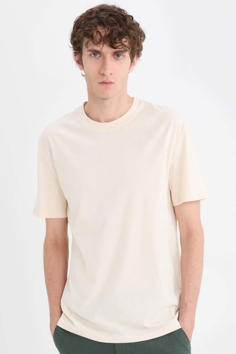 New Regular Fit Crew Neck Basic T-Shirt