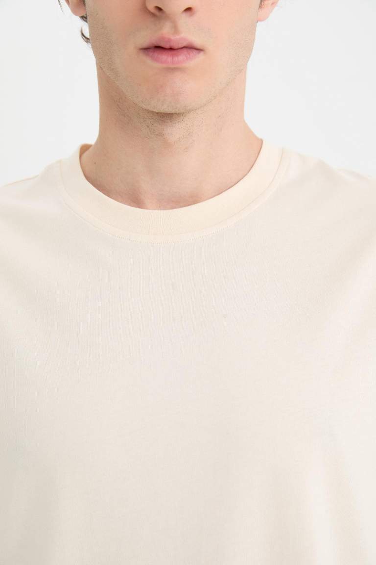 New Regular Fit Crew Neck Basic T-Shirt