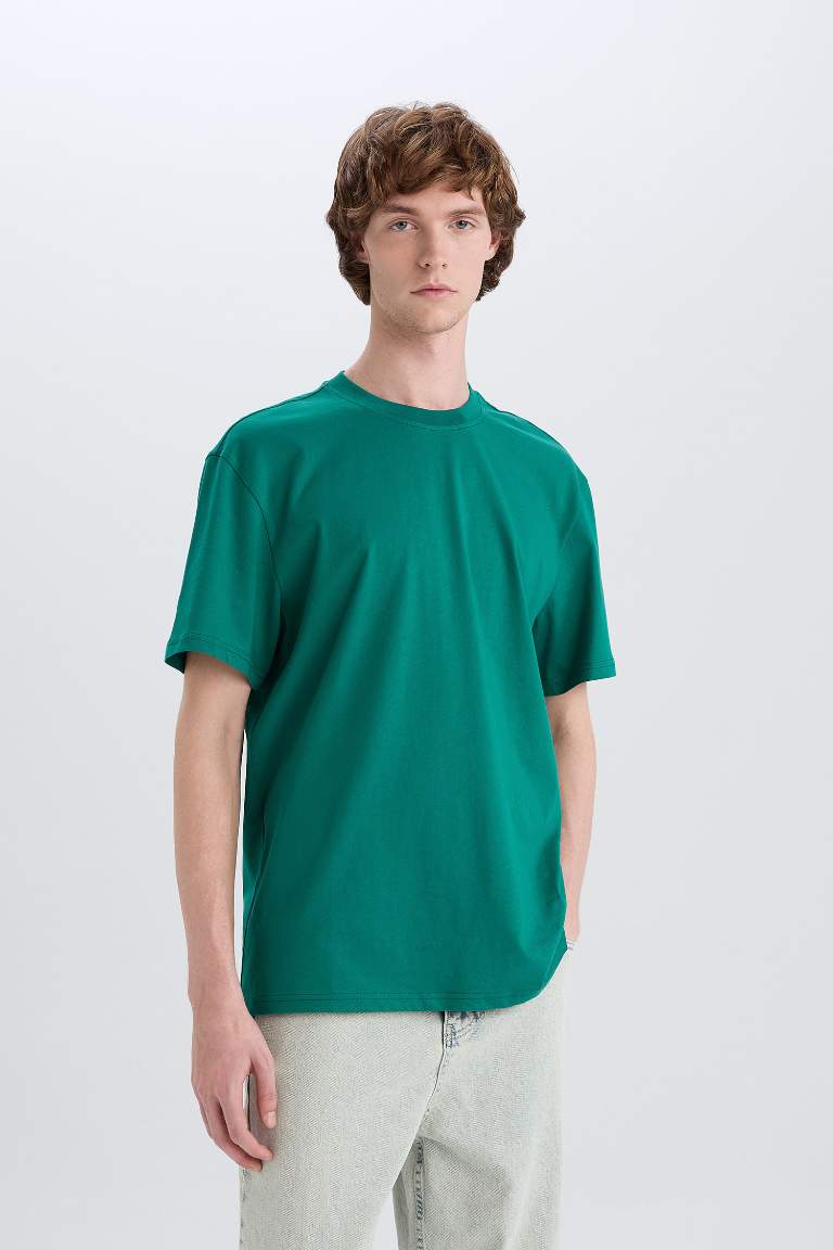 New Regular Fit Crew Neck Basic T-Shirt