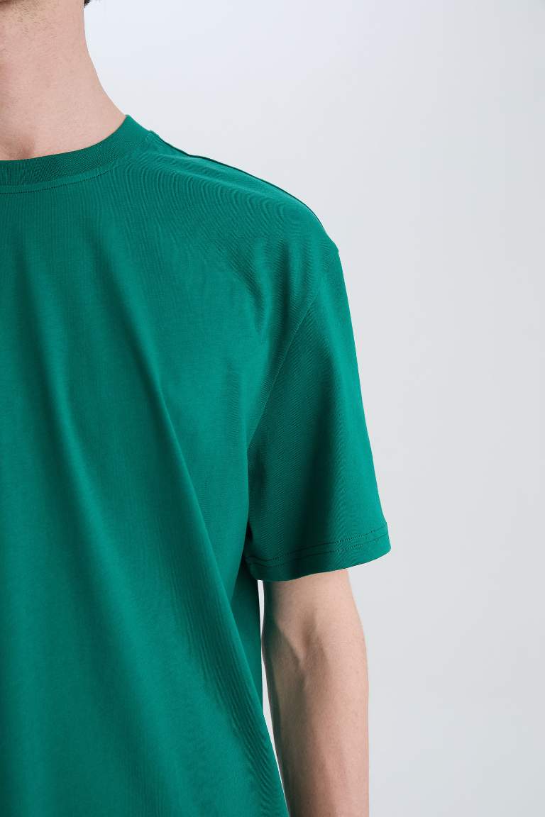 New Regular Fit Crew Neck Basic T-Shirt