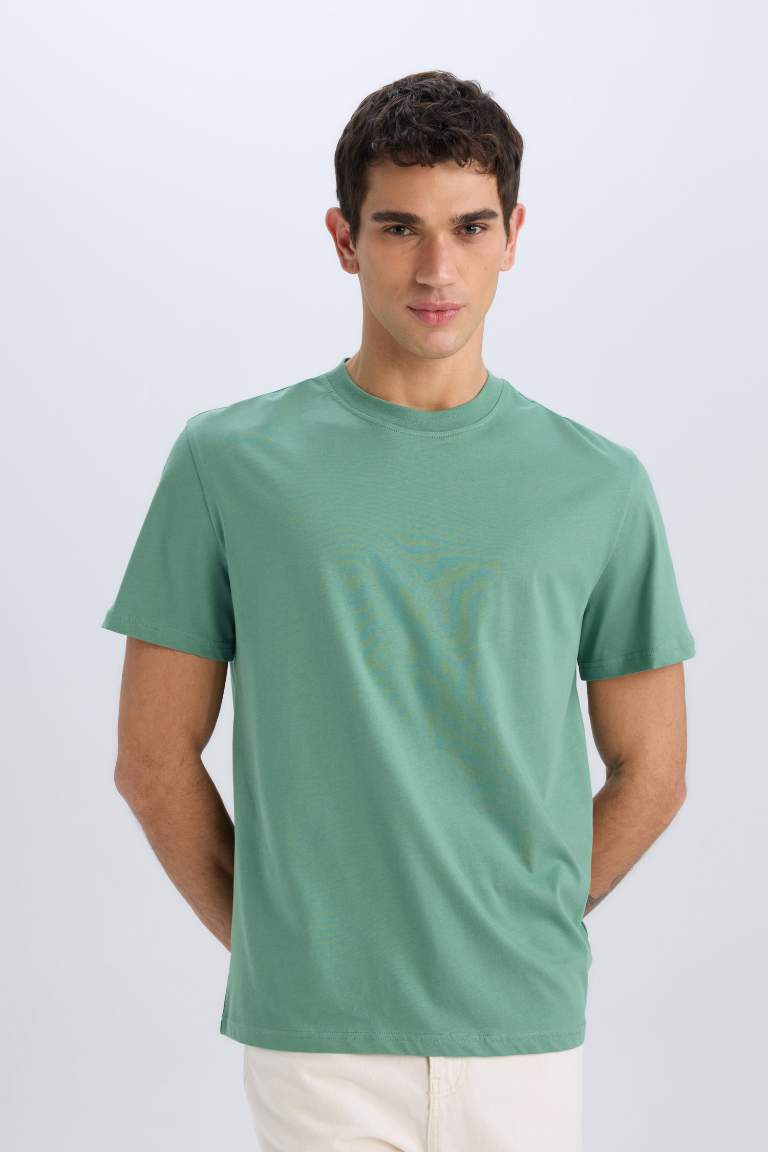 New Regular Fit Crew Neck Basic T-Shirt