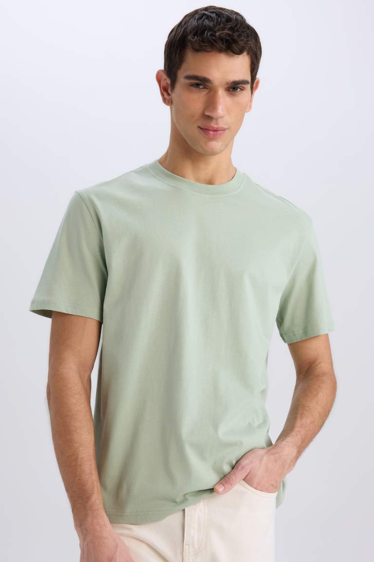 New Regular Fit Crew Neck Basic T-Shirt