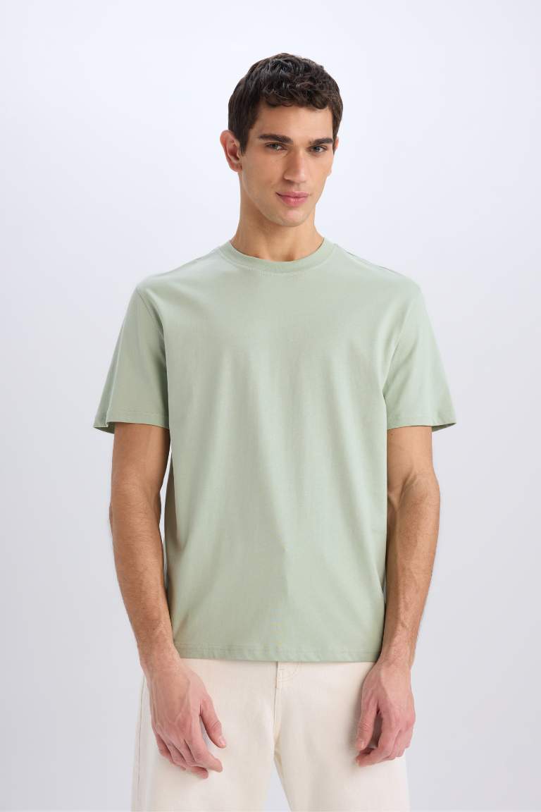 New Regular Fit Crew Neck Basic T-Shirt